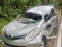 Pohon Tumbang di Toboli Barat Tewaskan Seorang Pengemudi